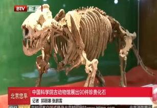 今日动物爆料最新消息新闻